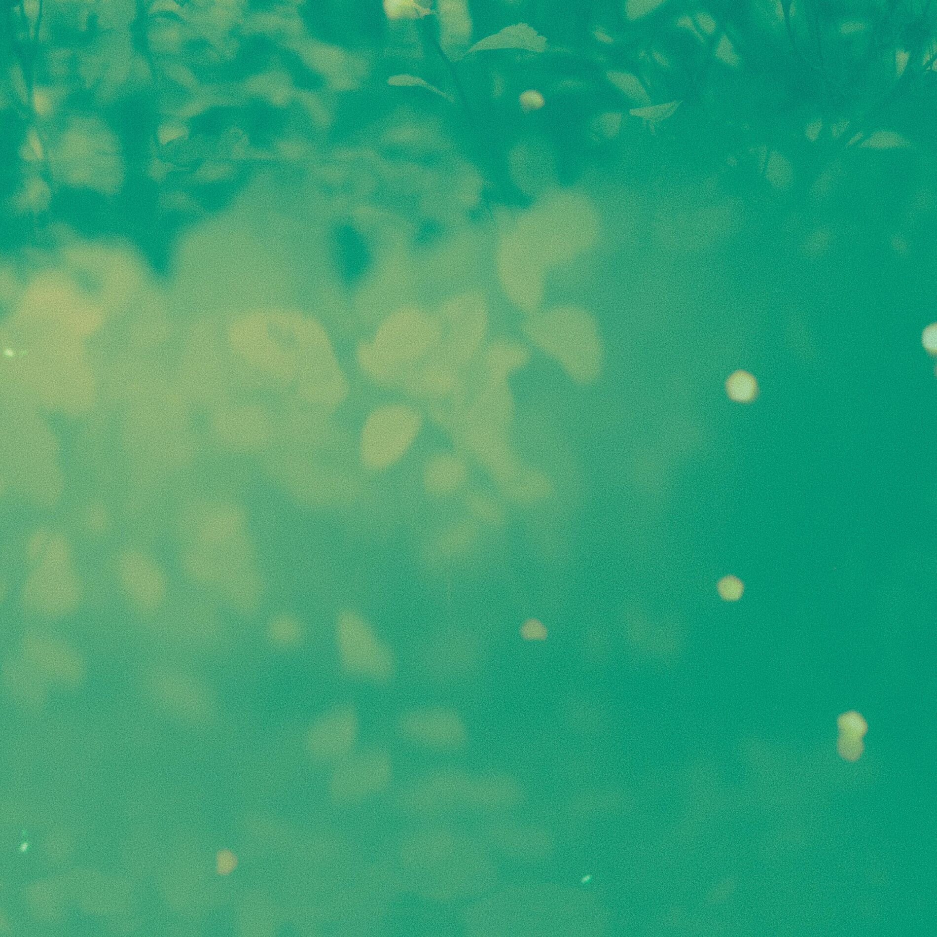 Album cover of Raindrops