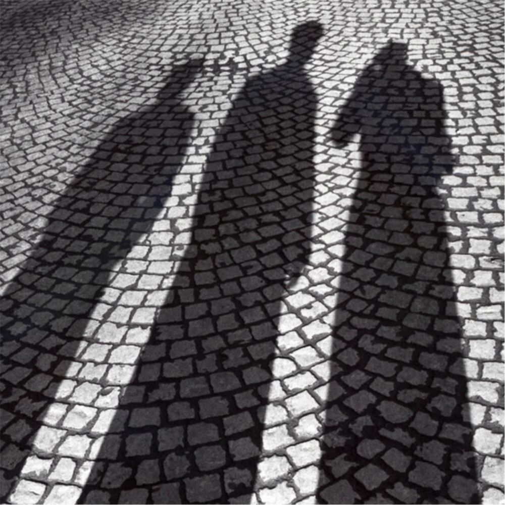 Picture of Shadows