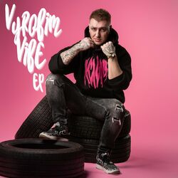 Cover of Vyrobim Vibe