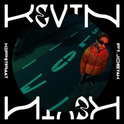 Cover of Kipstraat