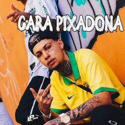 Cover of Cara Pixadona