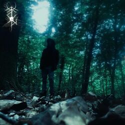 Cover of The Wanderer