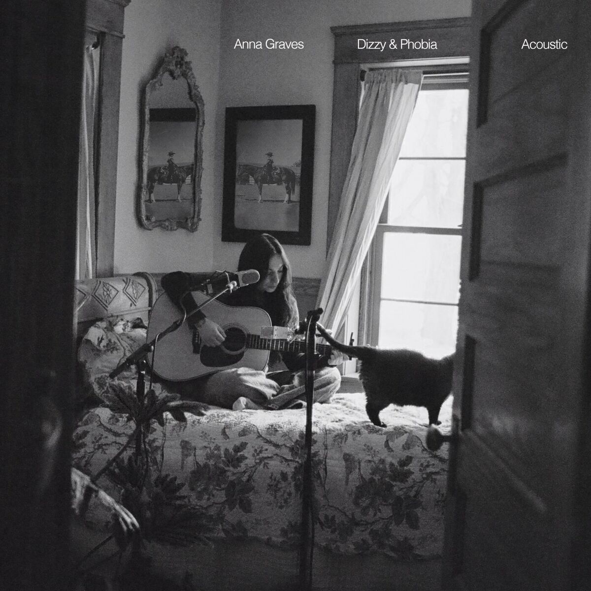 Album cover of Dizzy & Phobia (Acoustic)