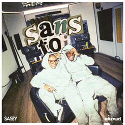 Cover of SANS TOI