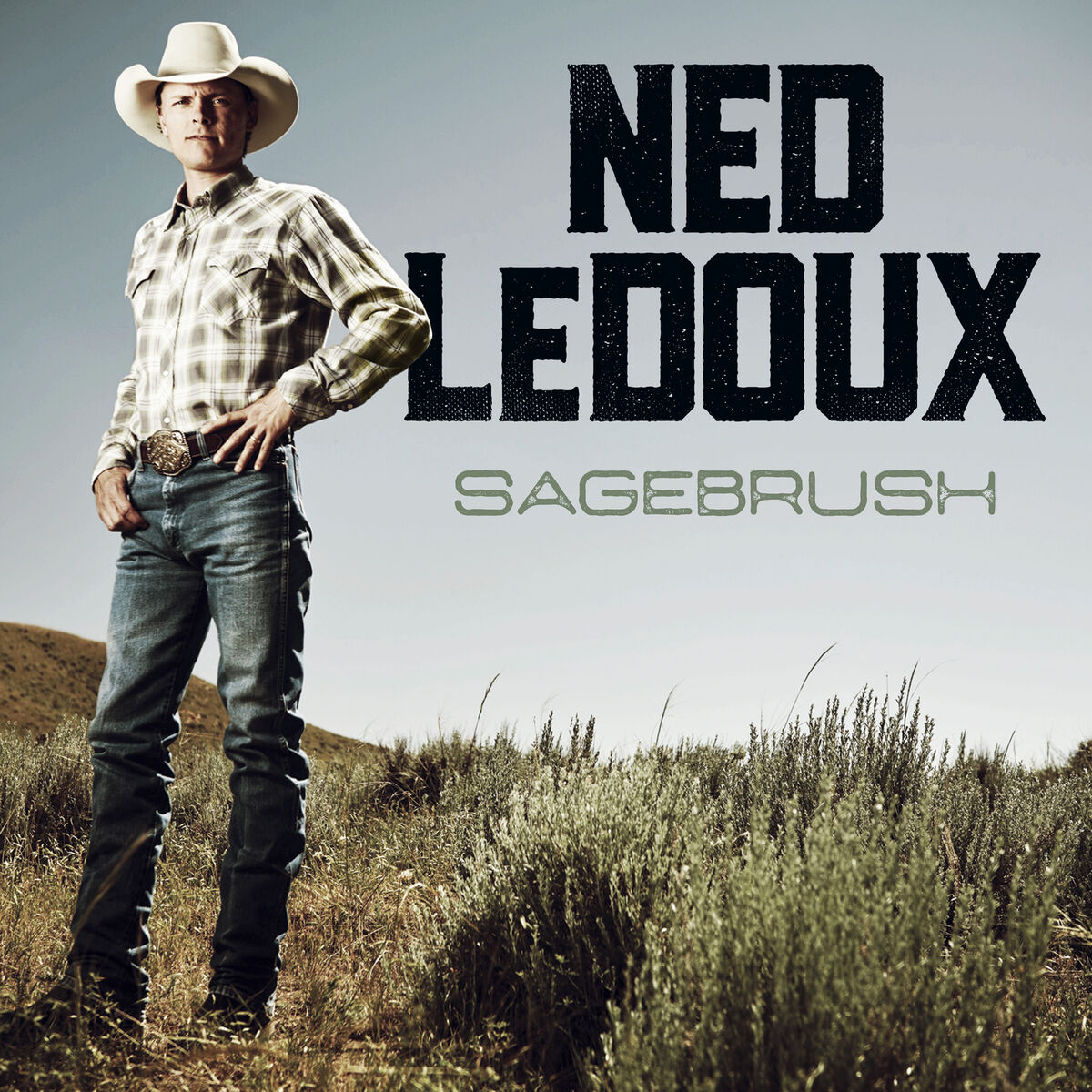 Album cover of Sagebrush
