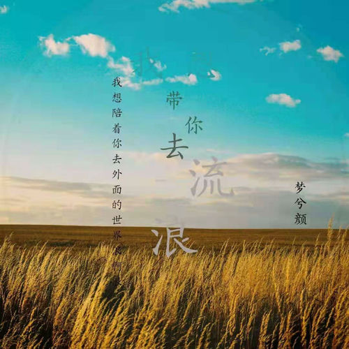 我想带你去流浪