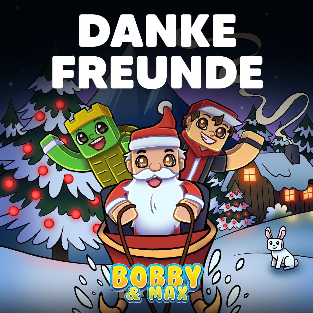 Album cover of Danke Freunde