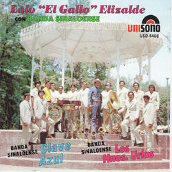 Cover of Con Banda Sinaloense