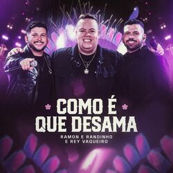 Cover of Como é que Desama
