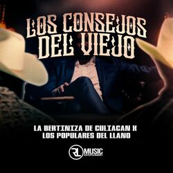 Cover of Los Consejos del Viejo