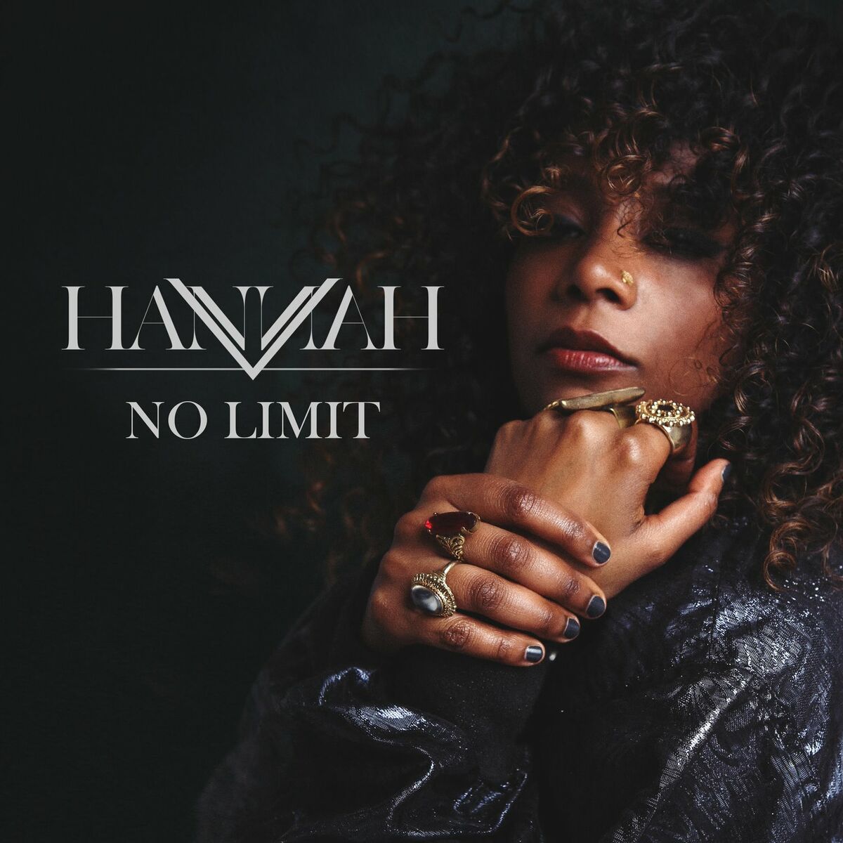 Album cover of No Limit