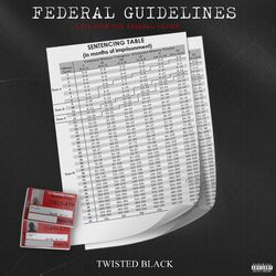 Cover of Federal Guidelines (Live From The Federal Prison)