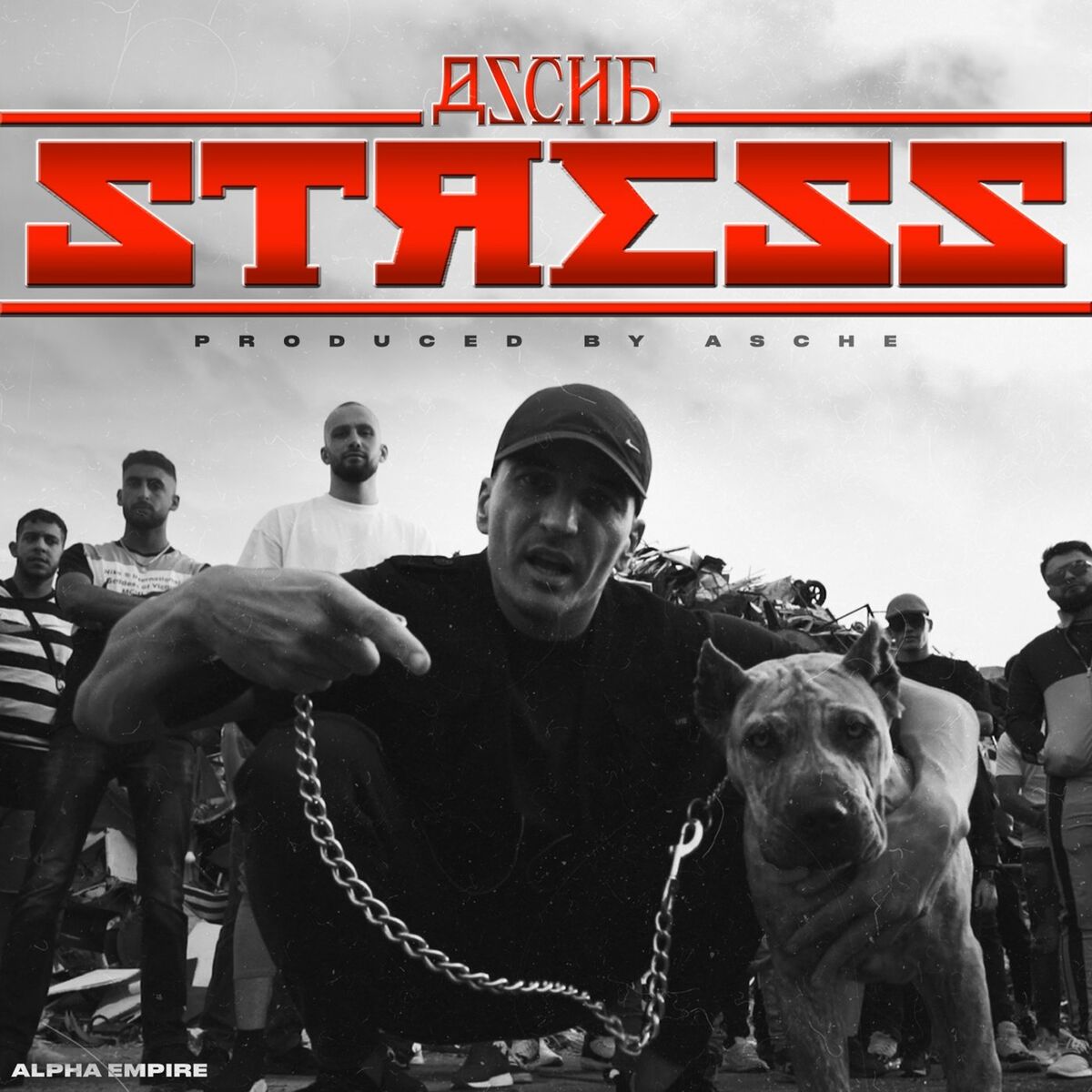 Album cover of Stress