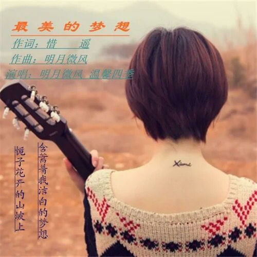 最美的梦想 (对唱DJ宇轩版)