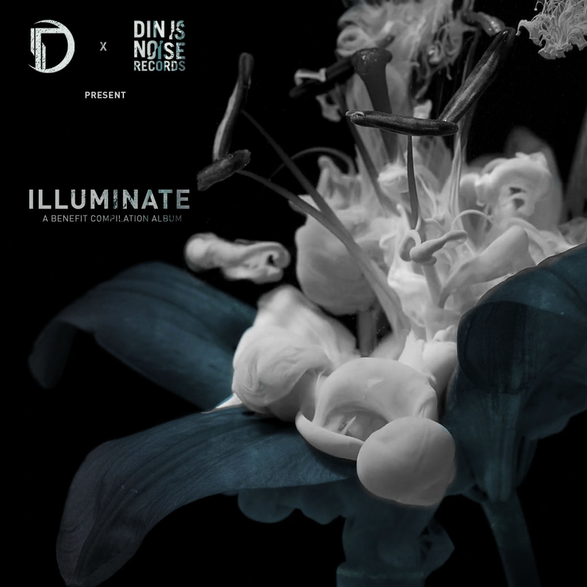 Album cover of Illuminate (Onset Audio x Din Is Noise Records)