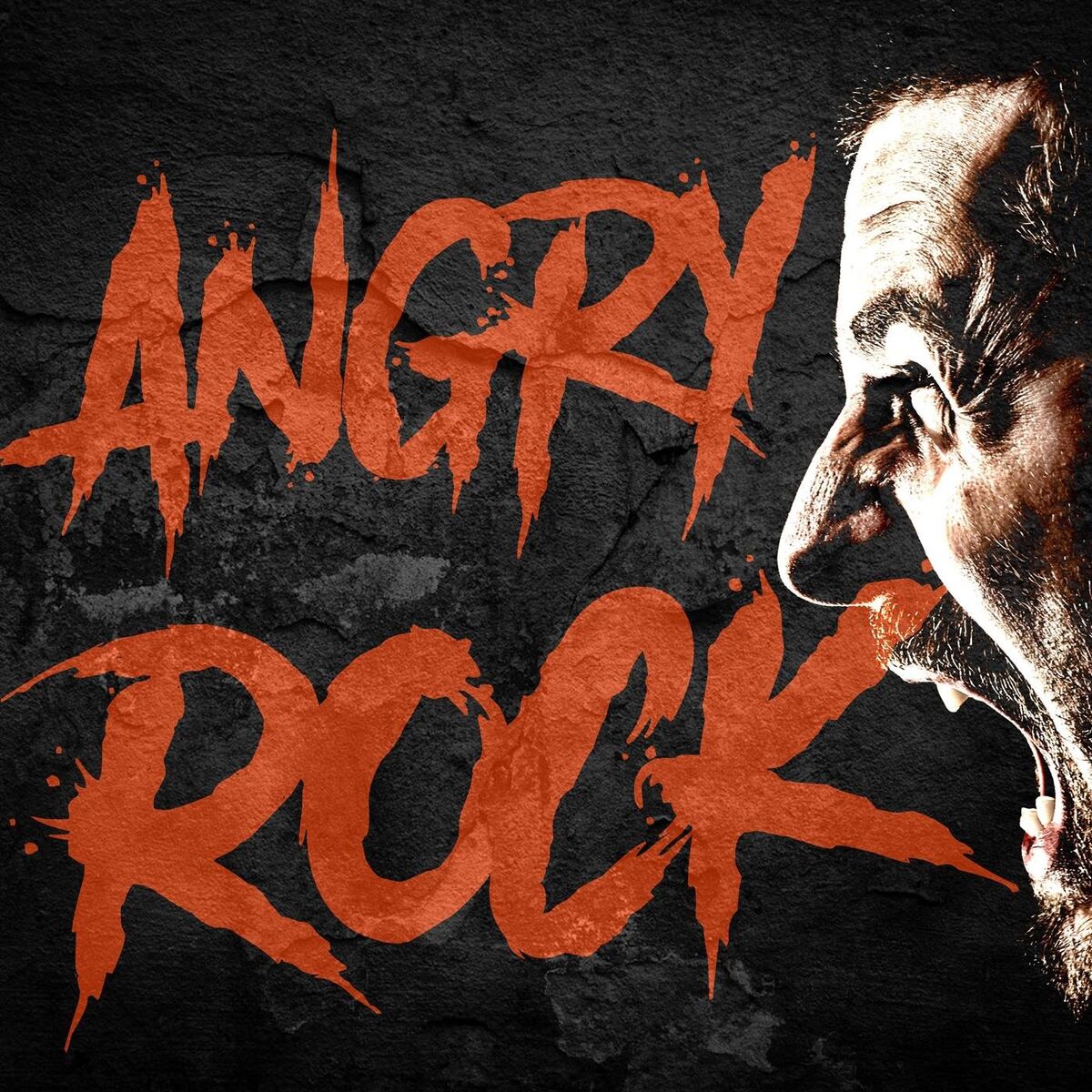Album cover of Angry Rock