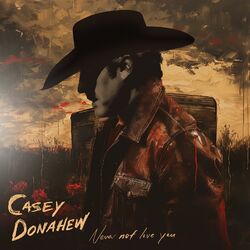 Cover of Never Not Love You