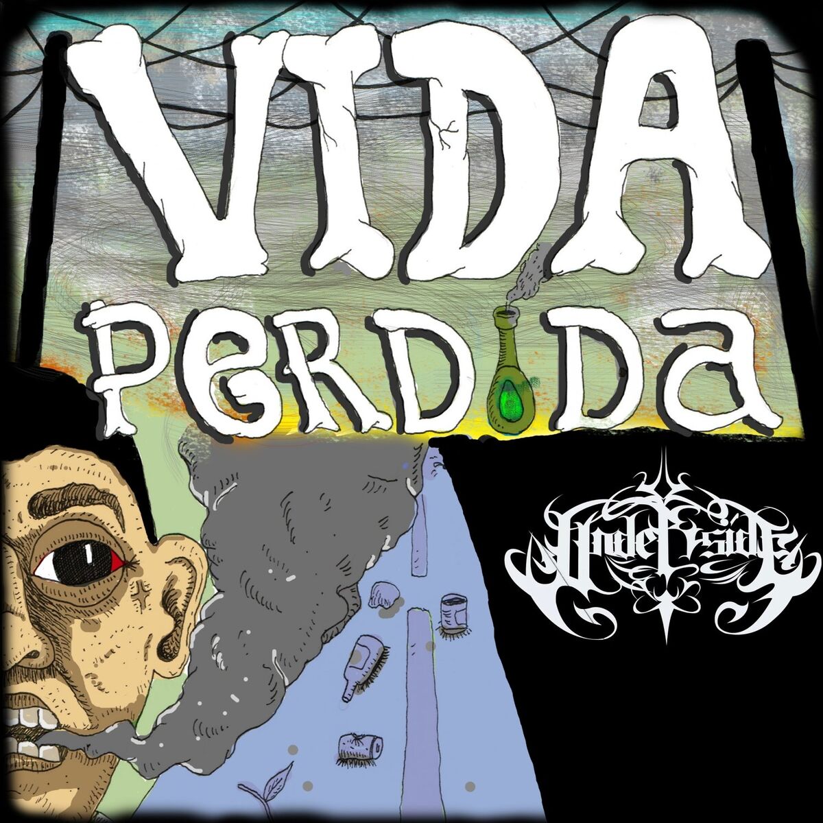 Album cover of Vida Perdida