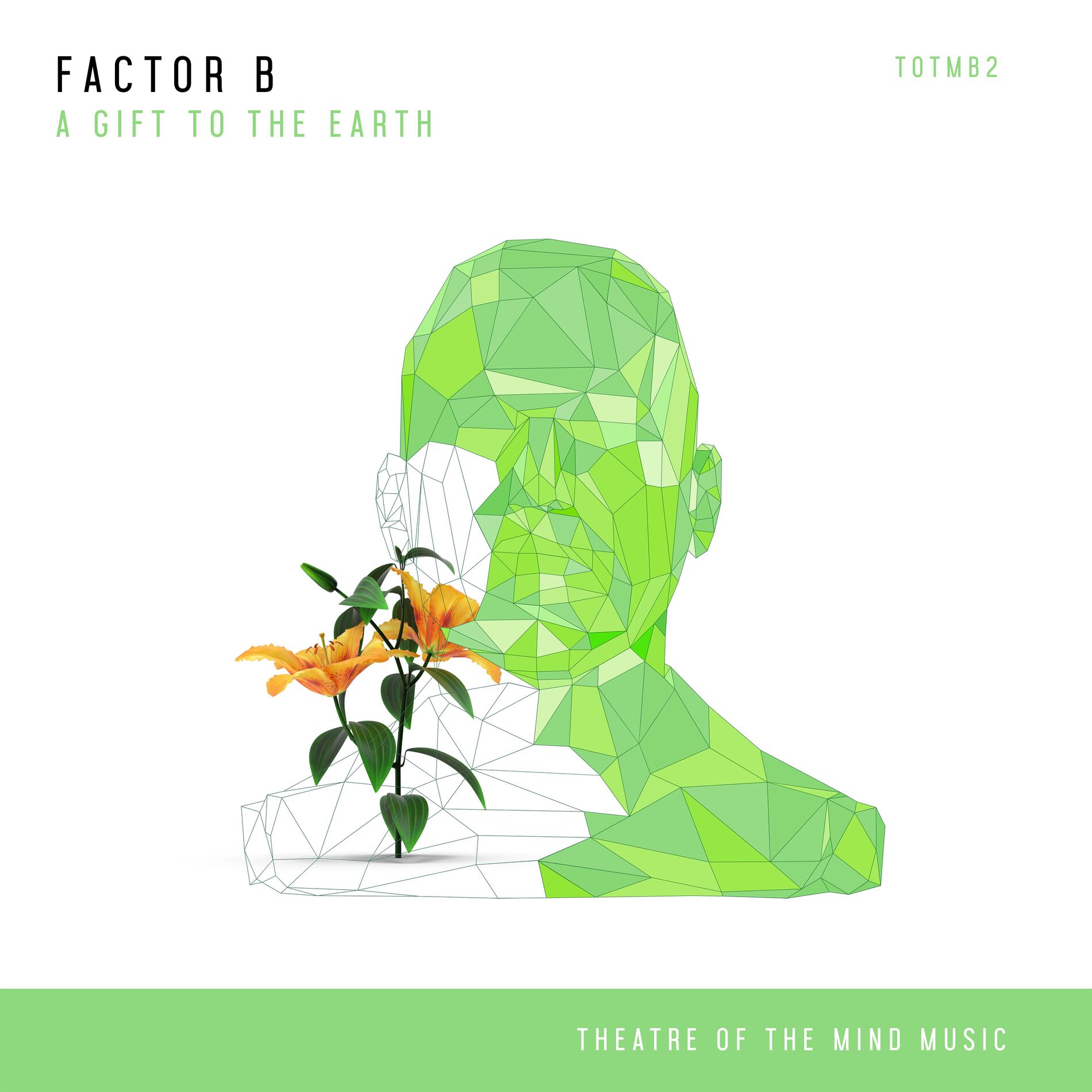 Album cover of A Gift to the Earth