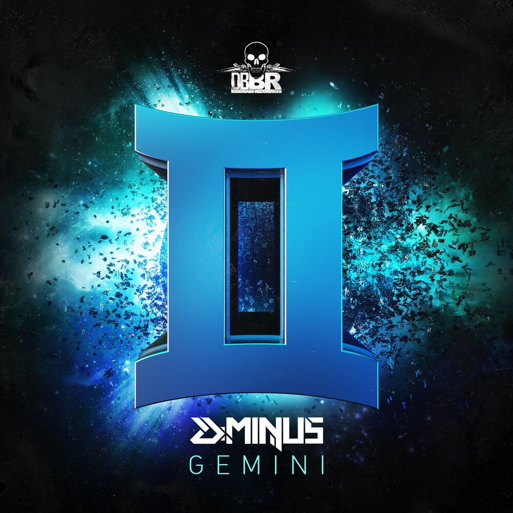 Picture of Gemini