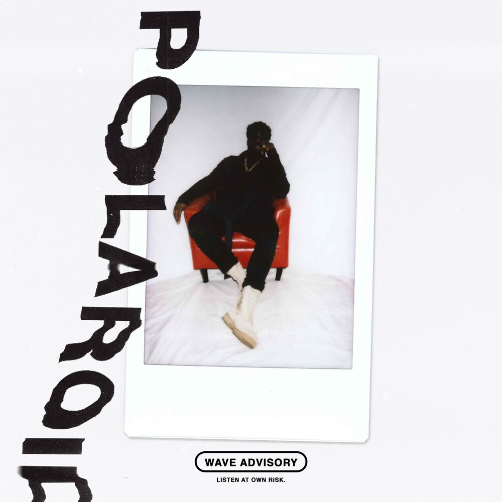 Picture of Polaroid