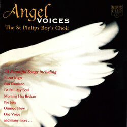 Cover of Angel Voices