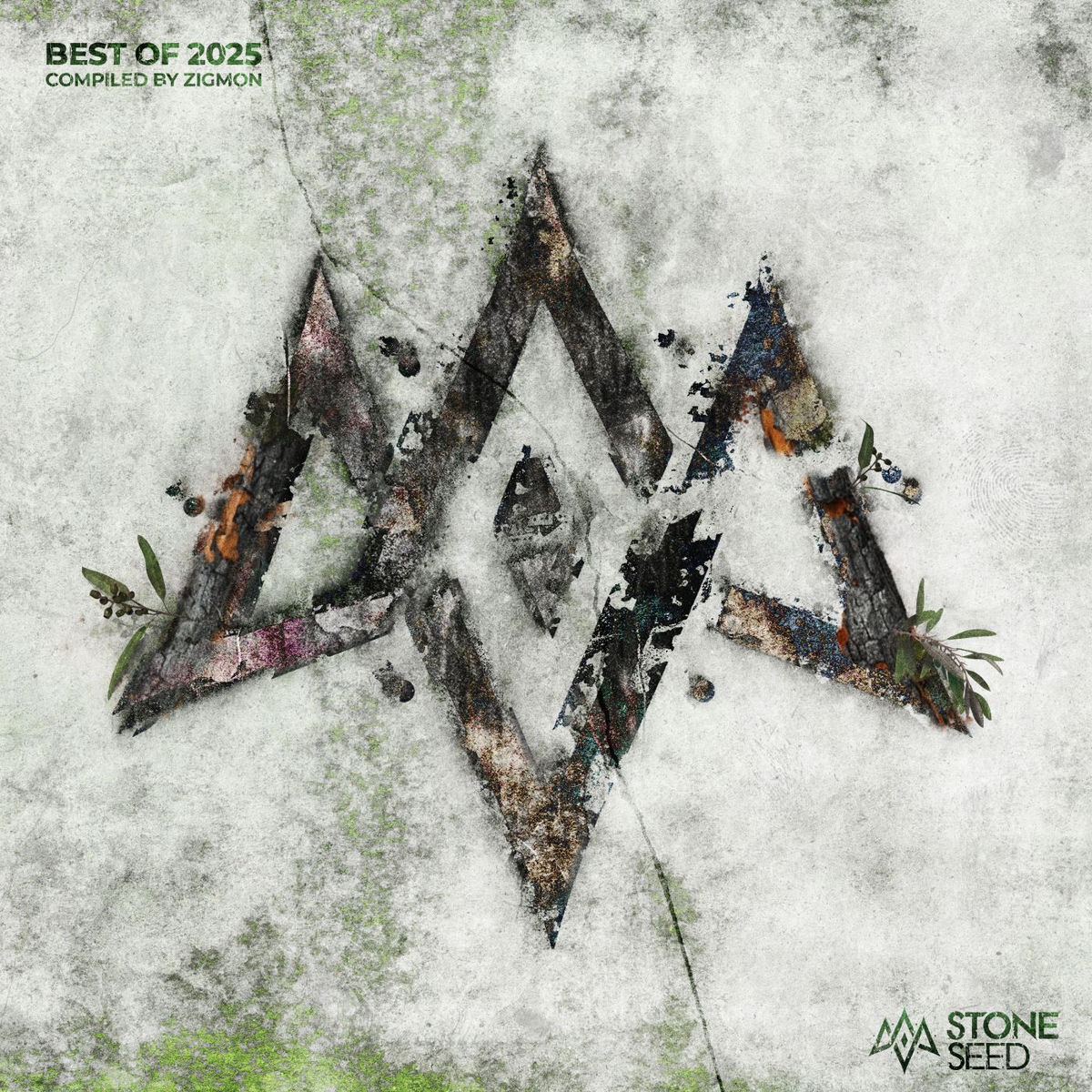 Album cover of Best Of 2025 - Compiled By ZigMon