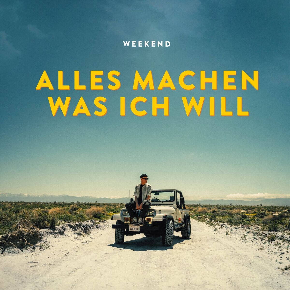 Album cover of Alles machen was ich will