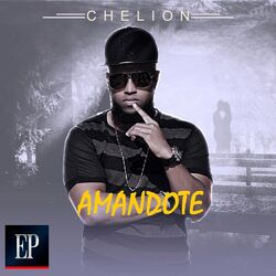 Cover of Amandote