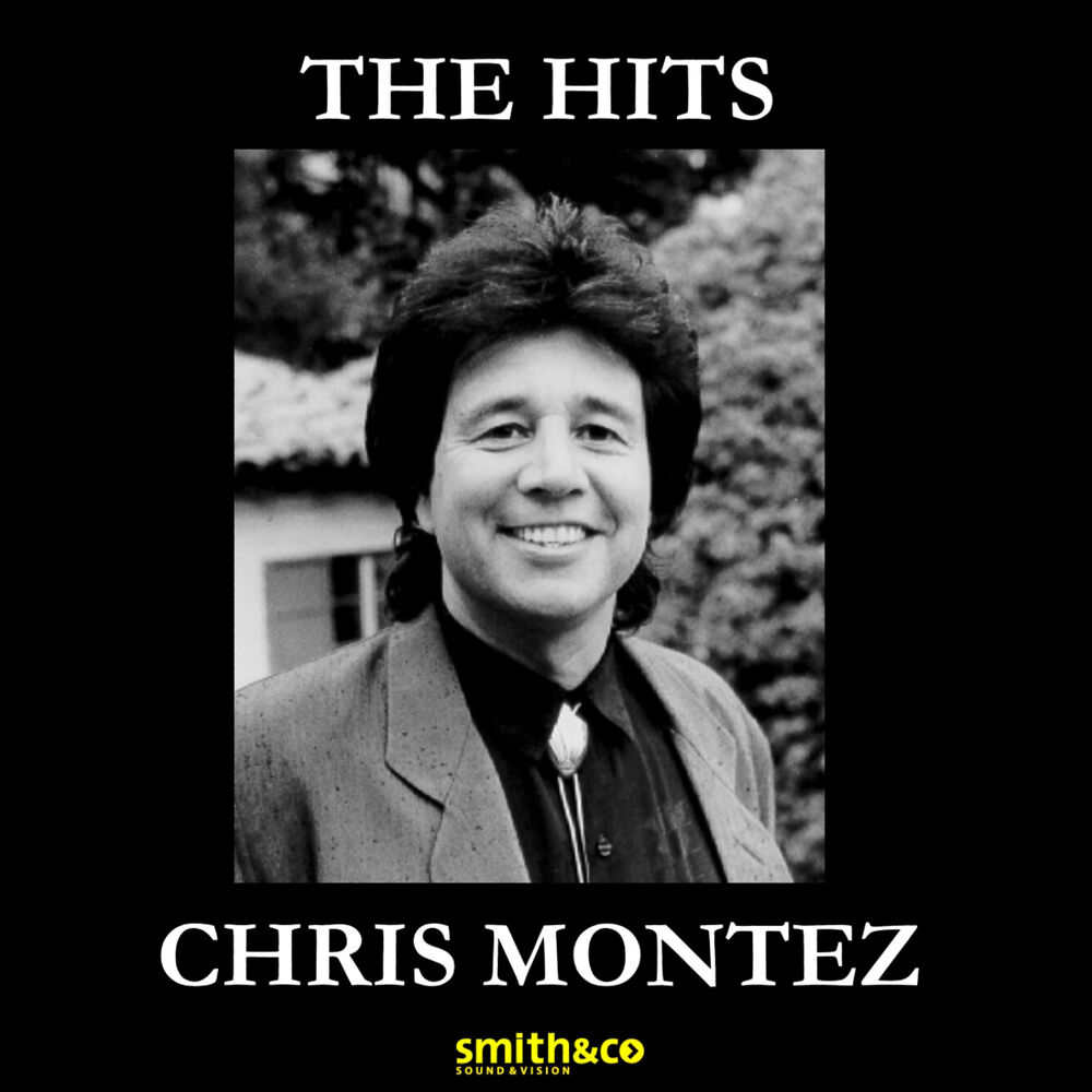 Picture of The Hits
