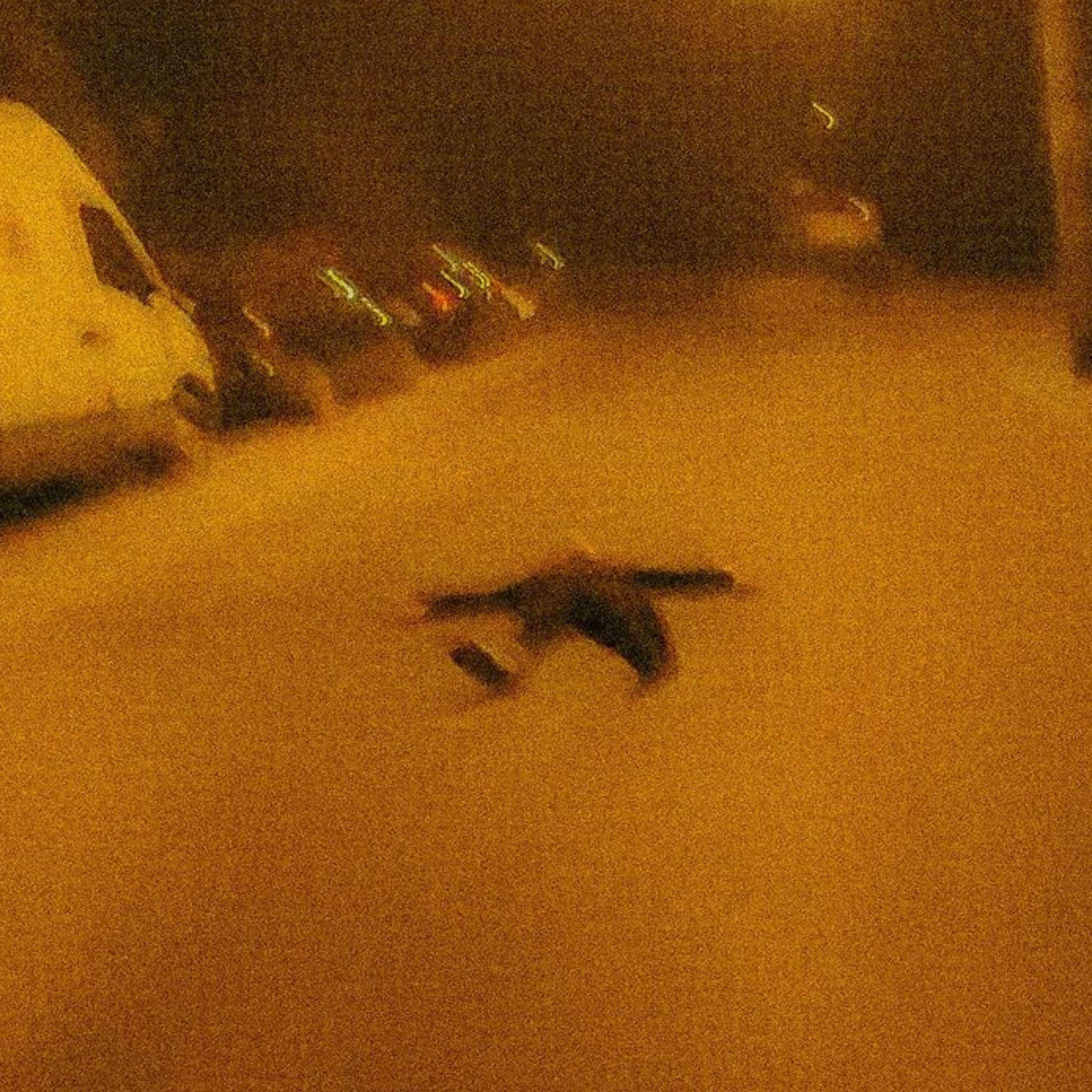 Album cover of you blocked me