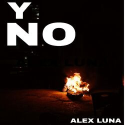 Cover of Y No.
