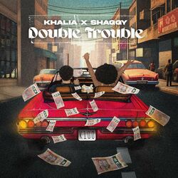Cover of Double Trouble