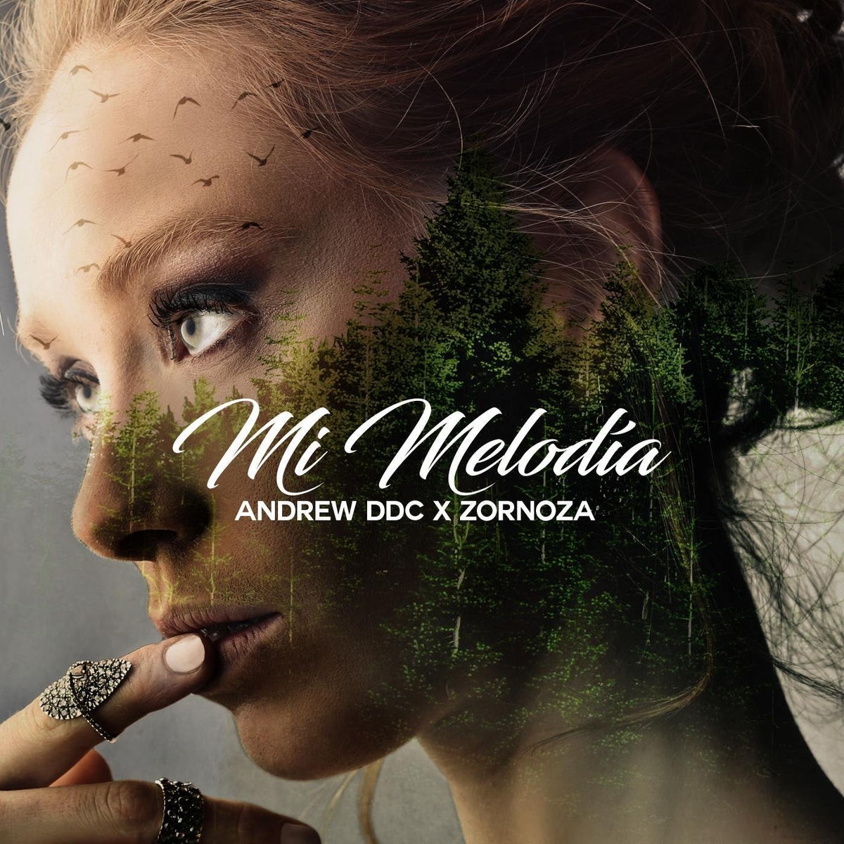 Album cover of Mi Melodía