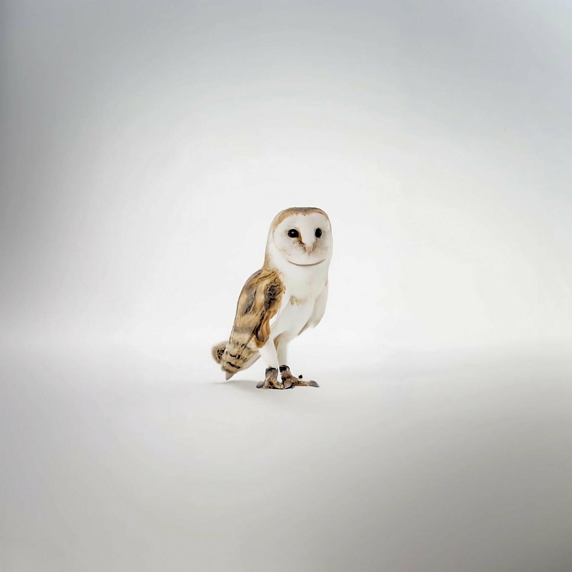 Album cover of Un quart d'heure