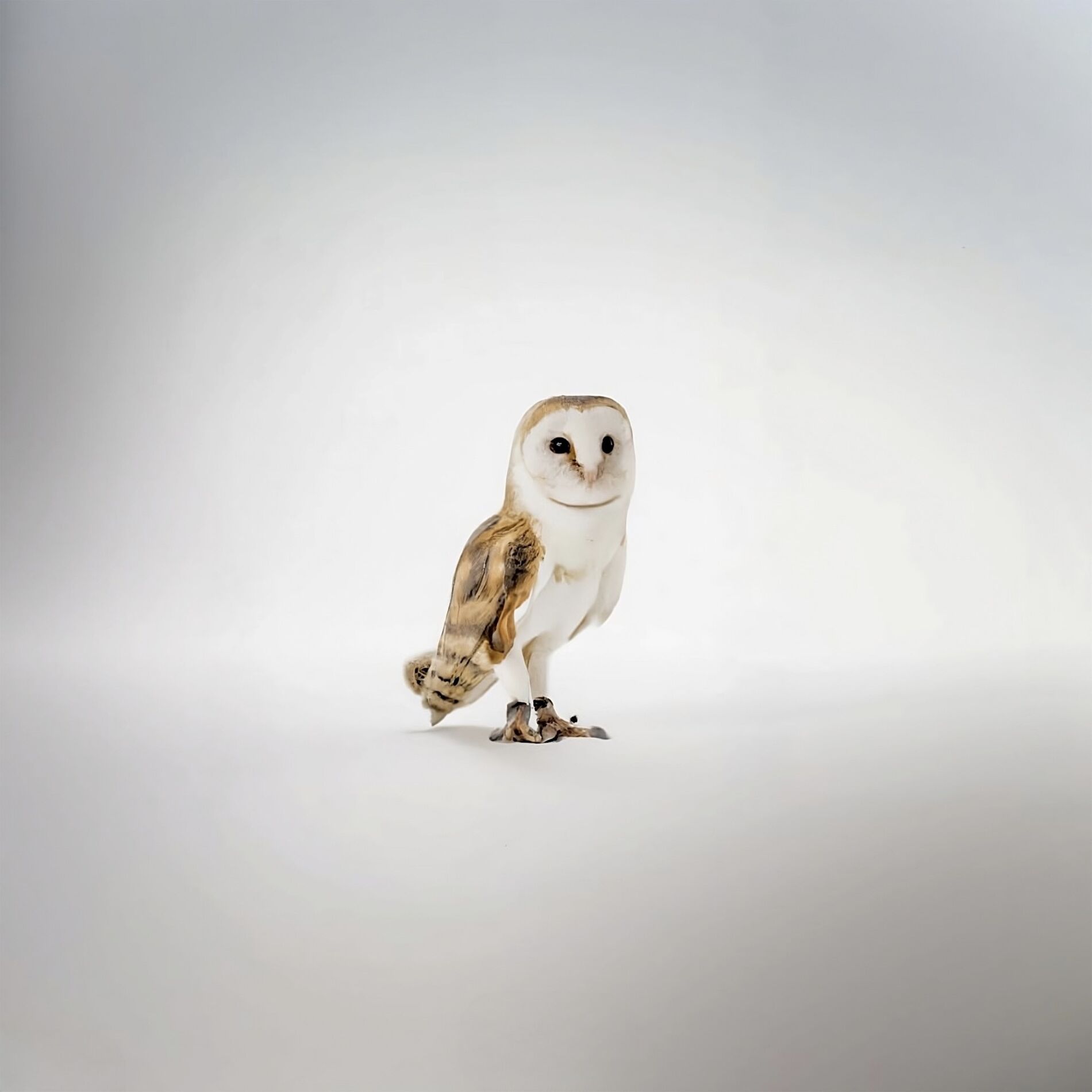 Album cover of Re