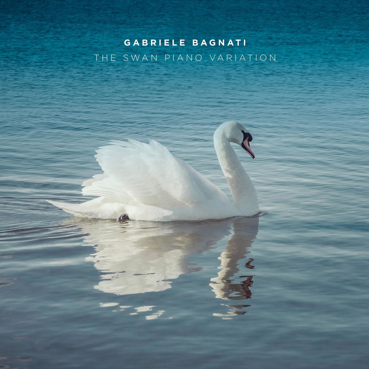 Album cover of The Swan Piano Variation (From The Carnival of the Animals, R.125, Arr. for Piano by Svetoslav Karparov)