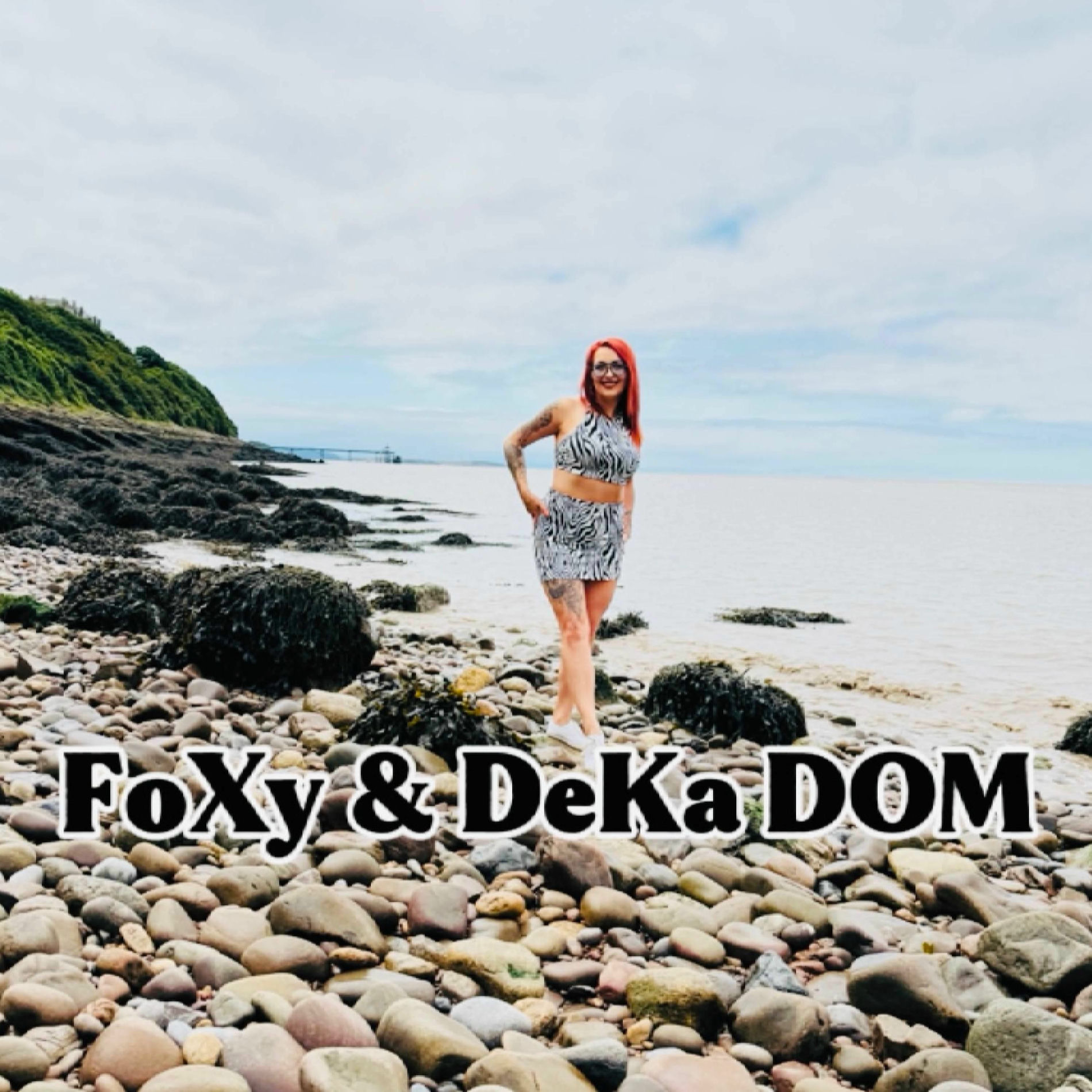 Album cover of FoXy & DeKa- Dom
