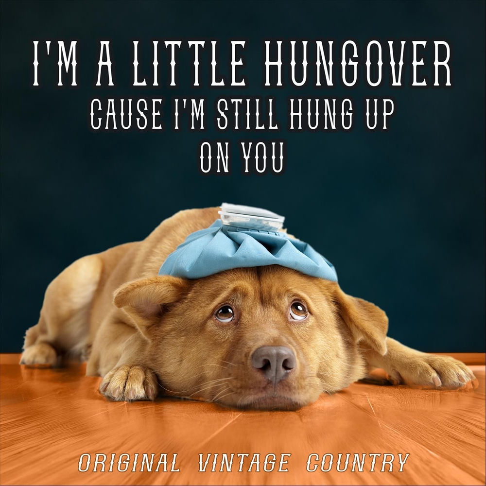 Album artwork for I'm a Little Hungover Cause I'm Still Hung up on You by Ursula