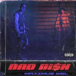 Cover of Bad Bi$h