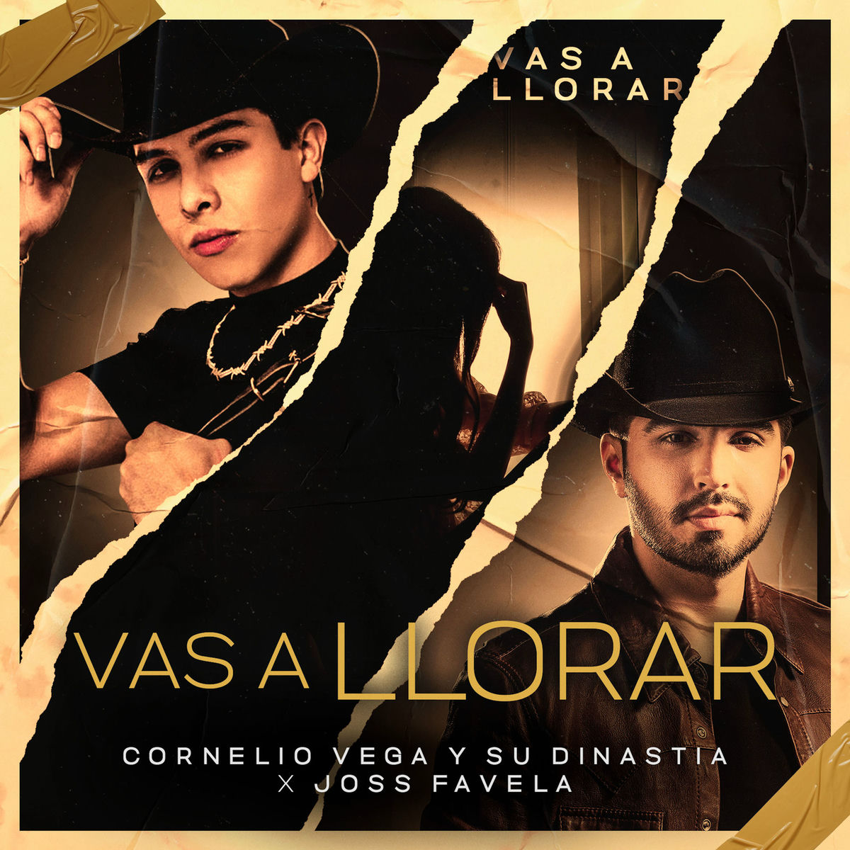 Album cover of Vas a Llorar
