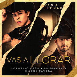 Cover of Vas a Llorar