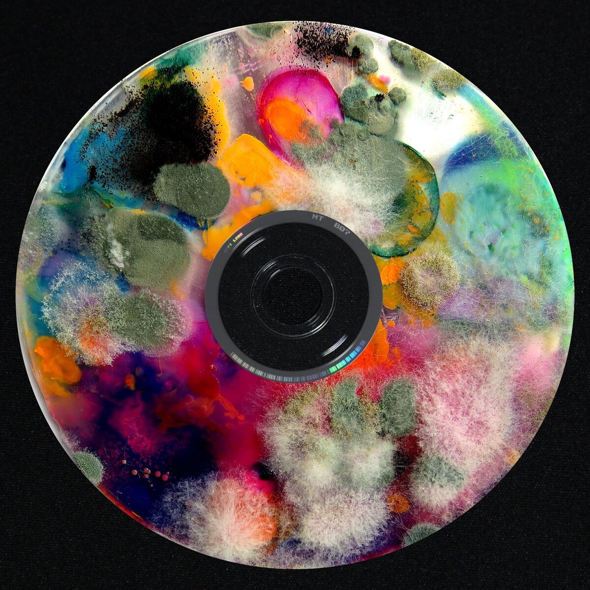 Album cover of OMOFOR