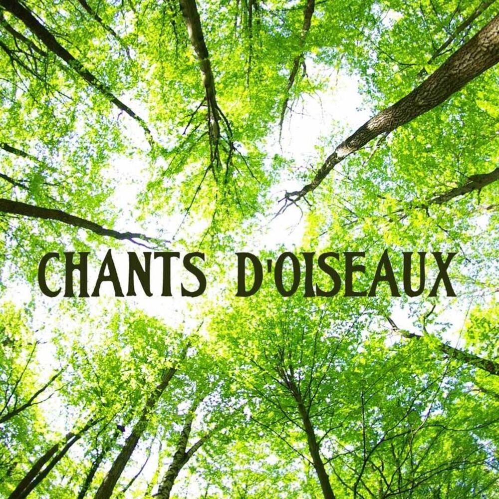 Picture of Chants d'oiseaux