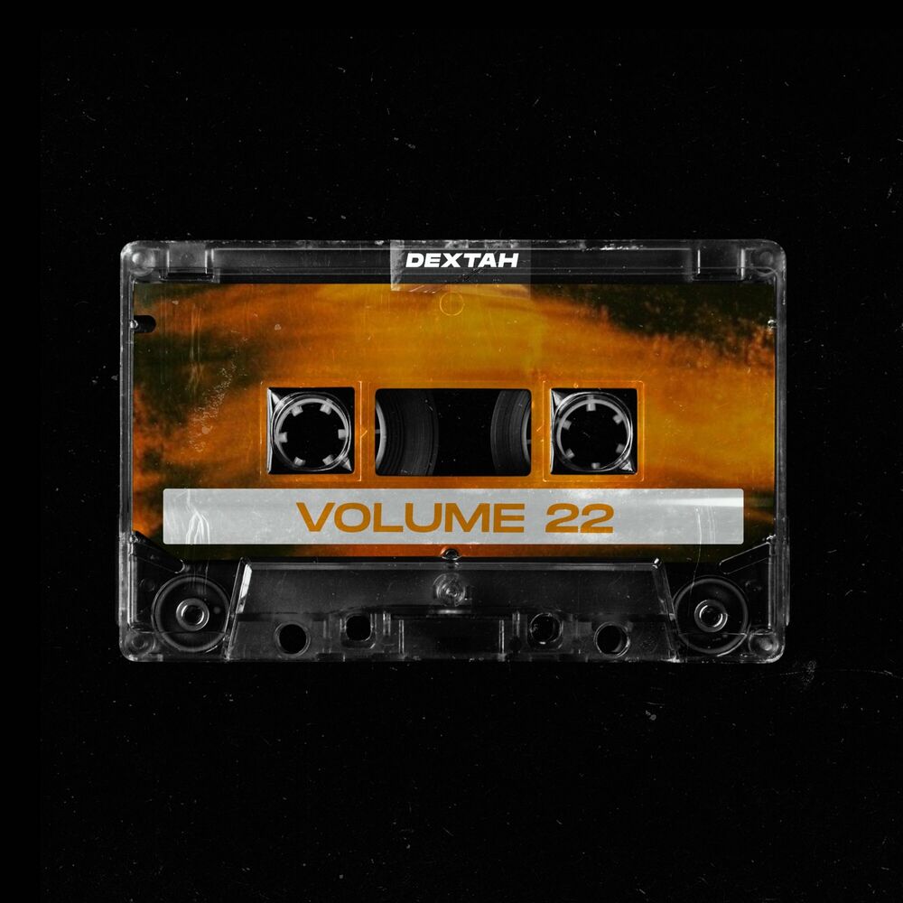 Picture of Volume 22