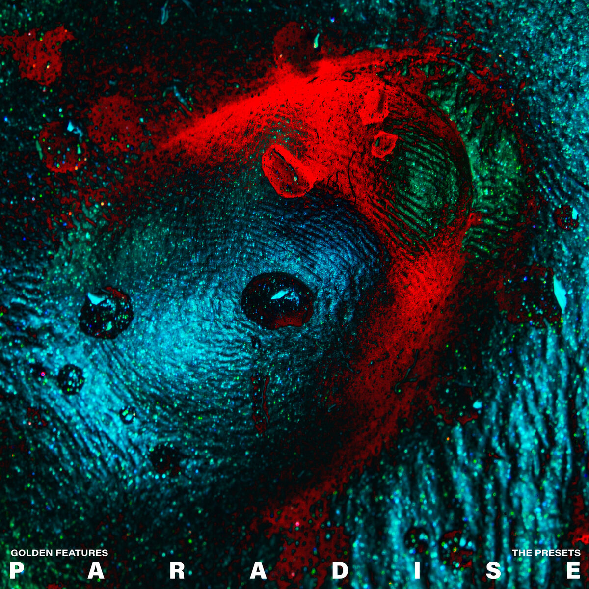 Album cover of Paradise