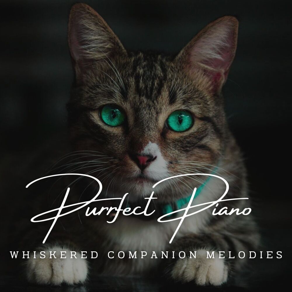 Picture of Purrfect Piano Serenades: Gentle Melodies for Feline Friends