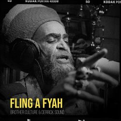 Cover of Fling A Fyah