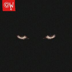 Cover of The Void Stares Back