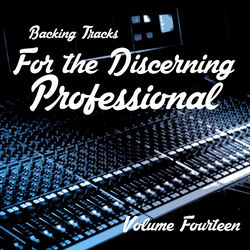 Backing Tracks for the Discerning Professional, Vol. 14